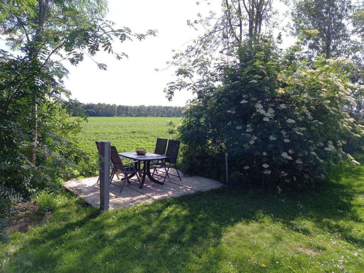 Buitengoed Het Achterdiep Ter Apel Exteriör bild